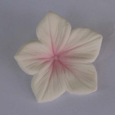 Corante Em Pó Rosa Bebé 7g - JustAddLove